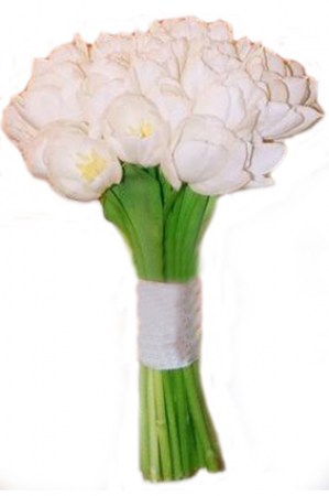 whitetulip_4A